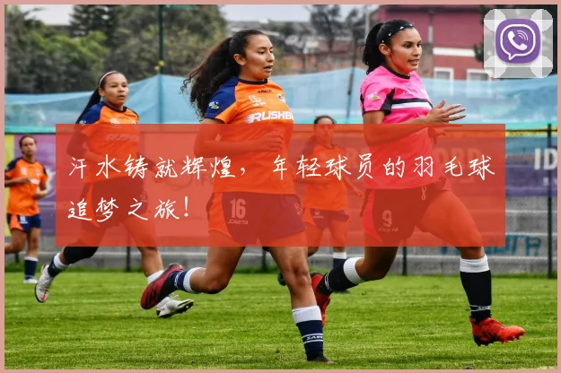 汗水铸就辉煌，年轻球员的羽毛球追梦之旅！