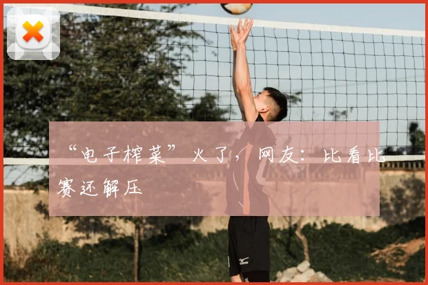 “电子榨菜”火了，网友：比看比赛还解压