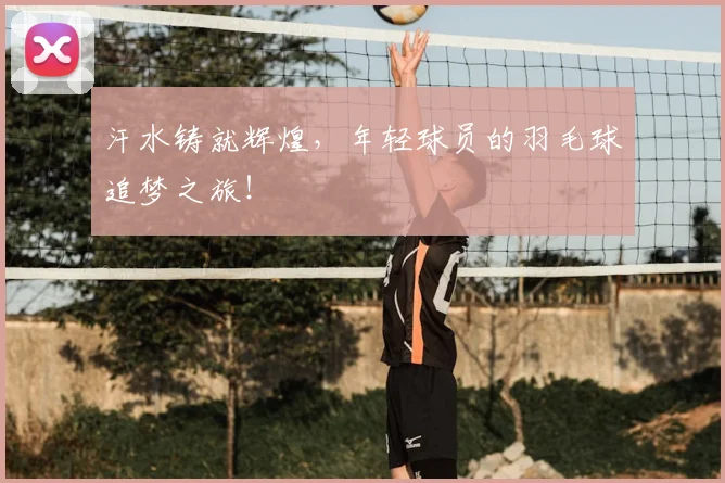 汗水铸就辉煌，年轻球员的羽毛球追梦之旅！