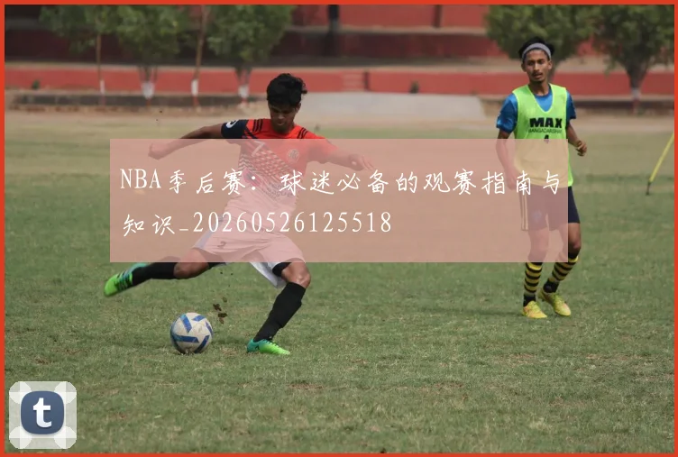 NBA季后赛：球迷必备的观赛指南与知识_20260526125518