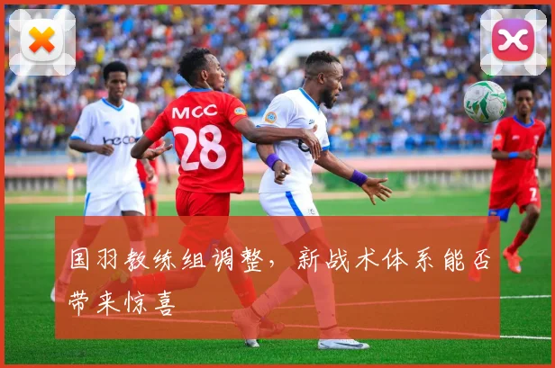 国羽教练组调整，新战术体系能否带来惊喜